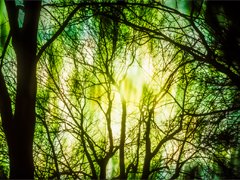 霊感｜電話占いウラナ